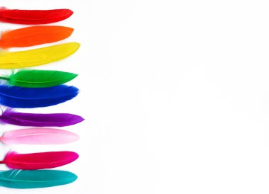 güzel çok renkli tüyler beyaz arkaplanda gökkuşağı renkleri