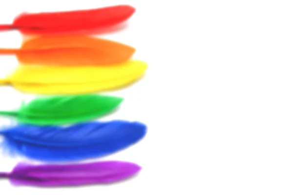 白を基調に孤立したLgbtの旗をぼかす Lgbtゲイの誇りのシンボルの虹色の羽 コピースペース バナー — ストック写真