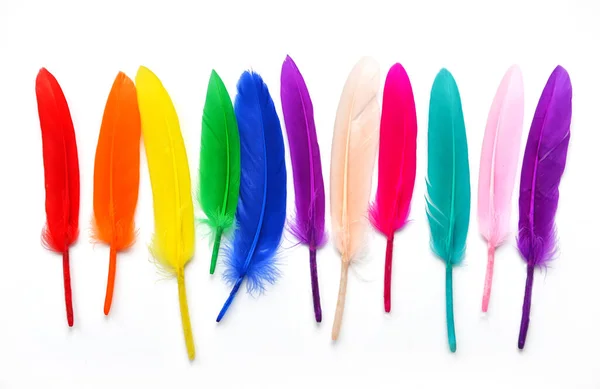 Hermosas Plumas Multicolores Color Arco Iris Sobre Fondo Blanco — Foto de Stock