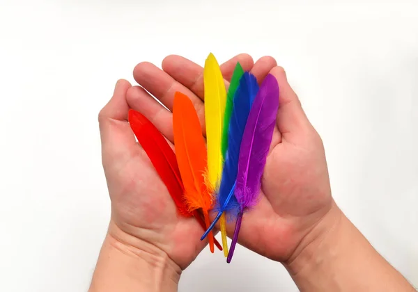LGBT colored feathers in hands on a white background. LGBT rainbow concept