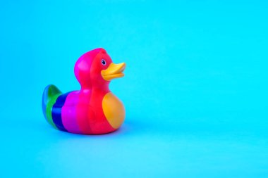 Gök kuşağı ördeği mavi sırtta. LGBT KOMUNİTESİ KONUŞMA