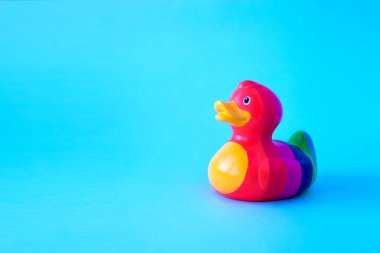 Gök kuşağı ördeği mavi sırtta. LGBT KOMUNİTESİ KONUŞMA