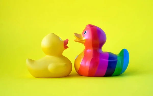 RAINBOW and yellow DUCK ON YELLOW BACKGROUND. LGBT COMMUNITY CONCEPT.valentine's day