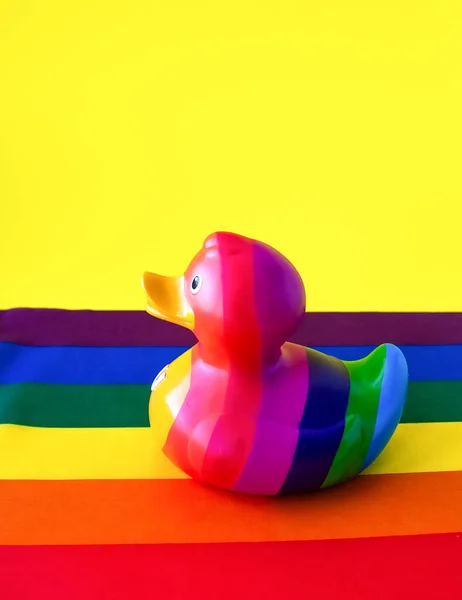Rubber Duck Heart Lgbt Flag Yellow Background Valentine Day — Stock Photo, Image