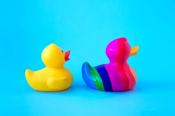 RAINBOW and yellow DUCK ON BLUE BACKGROUND. LGBT COMMUNITY CONCEPT.valentine\'s day