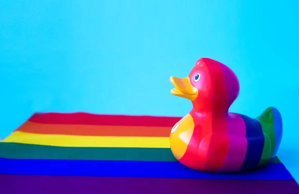 Pato Arco Iris Fondo Azul Concepto Comunitario Lgbt —  Fotos de Stock