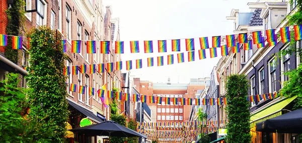 Hollanda, Hollanda 'da tipik Hollandalı evleri olan Amsterdam caddesi. Kullanılmış boya. LGBT Gökkuşağı Bayrağı