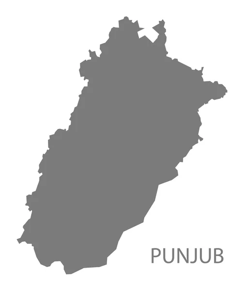 Punjub Pakistán Mapa gris — Vector de stock