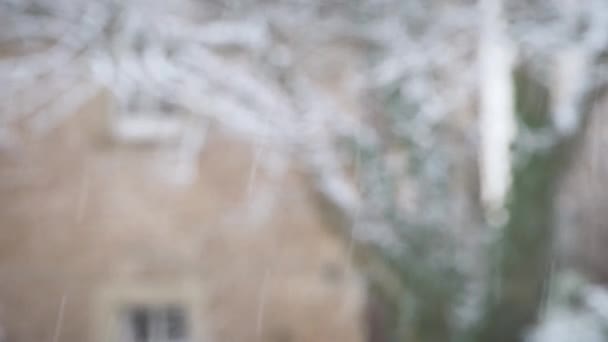 Winters tafereel met sneeuwval in beweging voor een onscherpe achtergrond — Stockvideo