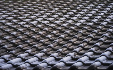 Dondurulmuş ve kahverengi kiremit çatı portre desen