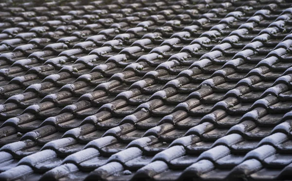 Dondurulmuş ve kahverengi kiremit çatı portre desen