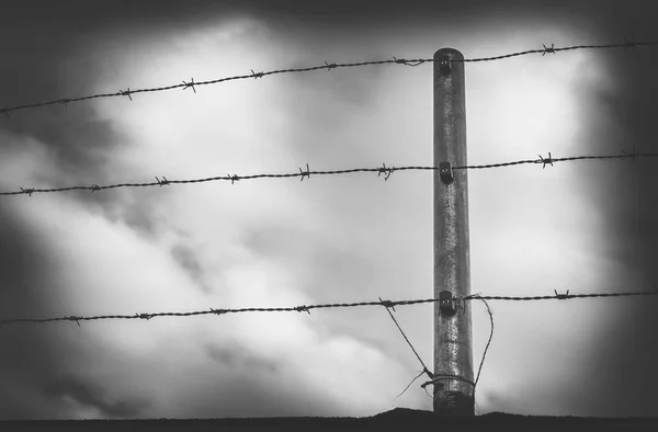 Barbwire in front of a cloudy sky black and white — Stock Photo, Image