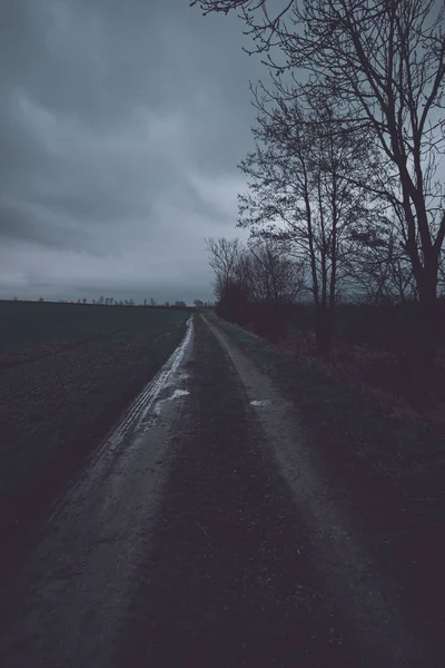 Dunkle Landschaft mit kahlen Bäumen — Stockfoto