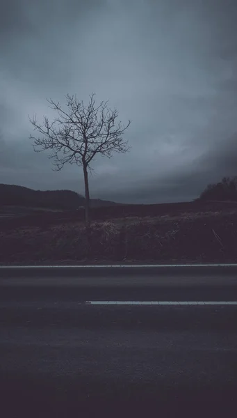 Çıplak ağaca dramatik gökyüzü ile karanlık sokak görünümü — Stok fotoğraf