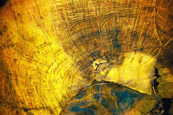 黄树树干背景纹理 — 图库照片