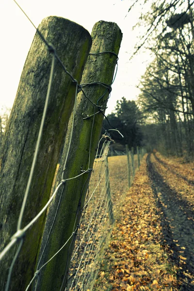 Дерев'яний паркан на сільській брудній дорозі — стокове фото