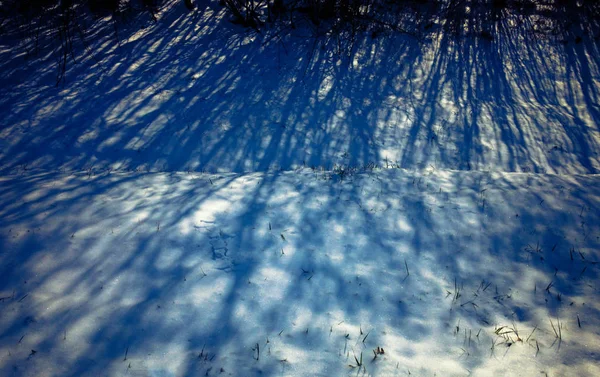 Las sombras juegan sobre un fondo nevado de invierno —  Fotos de Stock