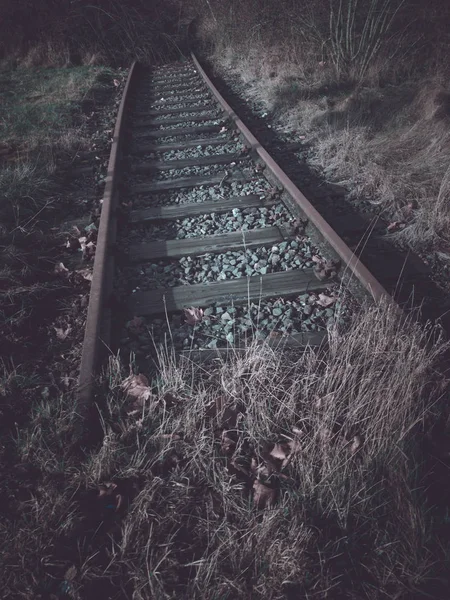 Eski büyümüş ve terk edilmiş tren yolu — Stok fotoğraf