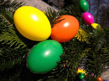 Paskalya havzasında renkli paskalya yumurtaları