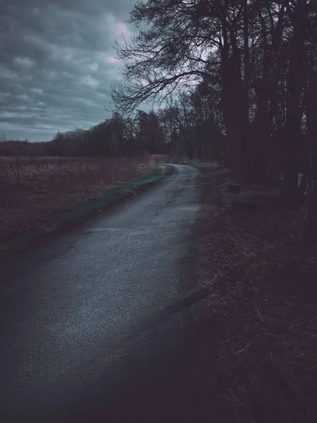 Темная и жуткая однополосная дорога ночью — стоковое фото