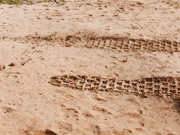 Huellas de neumáticos en la arena — Foto de Stock