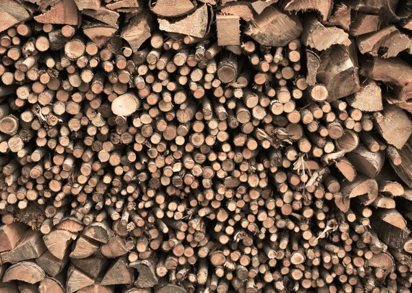 Skládaná a seřazené hnědé palivového dřeva — Stock fotografie