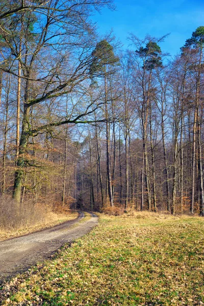 Вид на сельскую местность Баварии — стоковое фото