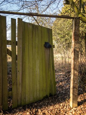 Eski yıpranmış ahşap kapı doğa