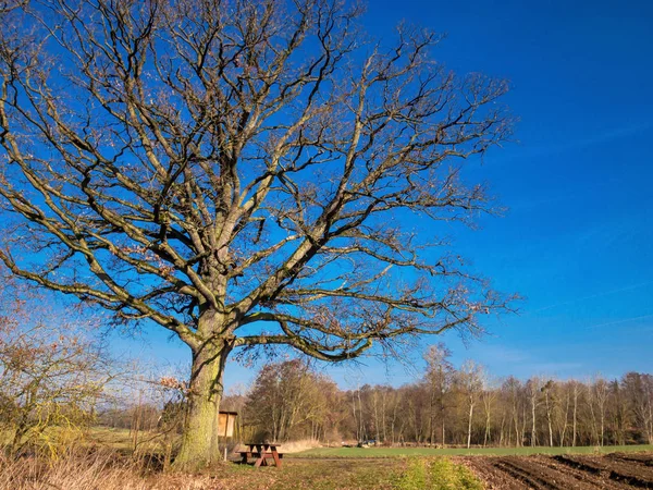 Ländliche Landschaft in Bayern — Stockfoto