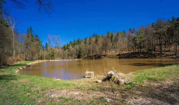 Vista del bosque al campo rural en primavera — Foto de Stock