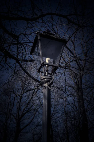 Street lamp in front ot the dark park — Stock Photo, Image