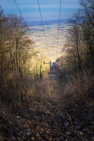 Schneise mit Strommasten im Wald — Stockfoto