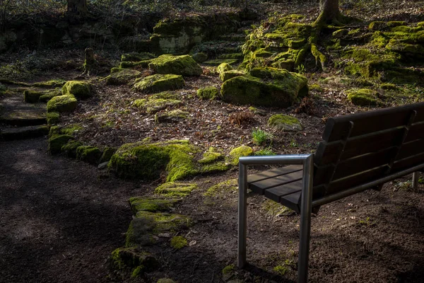 Деревянная скамейка в зеленом парке весной — стоковое фото