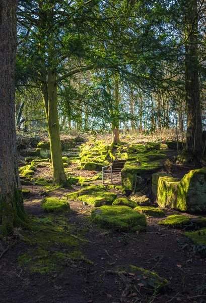 Schöne Natur- und Parkszene im Frühling — Stockfoto