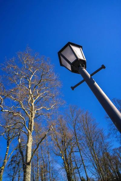 Vue à angle bas du lampadaire dans le parc — Photo