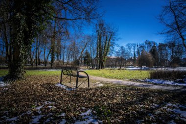 Erken ilkbahar parkında yalnız tezgah