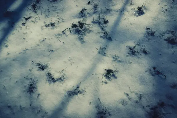 Sníh v parku v brzy na jaře — Stock fotografie