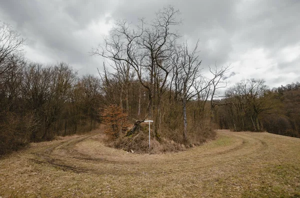 Inringad smuts sökväg framför skogen — Stockfoto