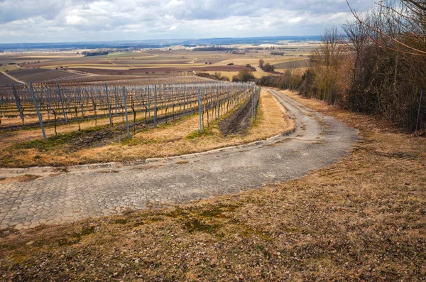 Paisaje rural vista desde el viñedo en primavera — Foto de Stock