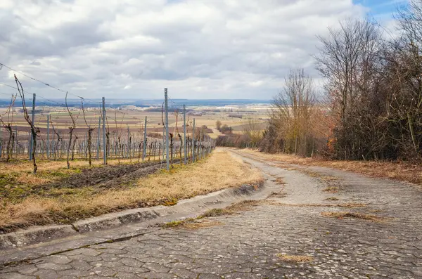 Blick auf die ländliche Landschaft vom Weinberg im Frühling — Stockfoto