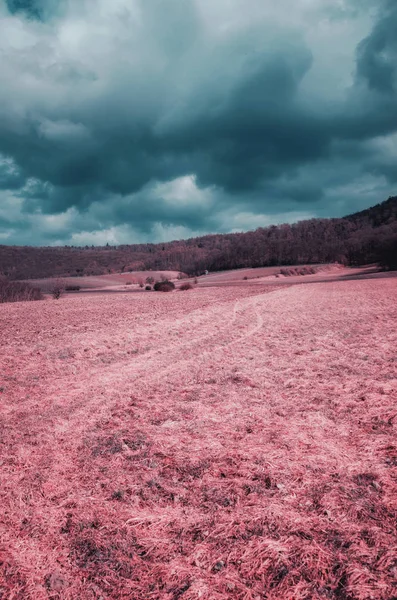 Abstrakte Landschaftsaufnahme von der Wiese im Frühling — Stockfoto