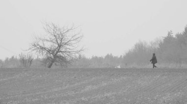 Sahada köpekli bir yaya.