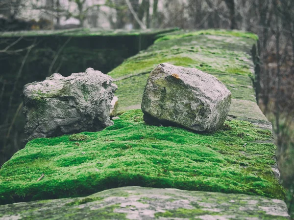 Duvardaki iki küçük taş — Stok fotoğraf