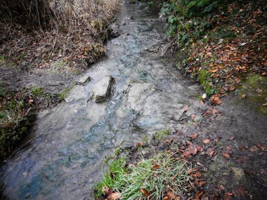 Provisional stone bridge in a creek