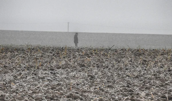 Homme seul marchant sur le terrain — Photo