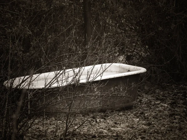 Hidden and abandoned old bathtub in the undergrowth — Stock Photo, Image