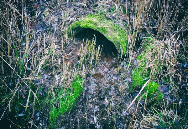 Старые канализационные трубы — стоковое фото