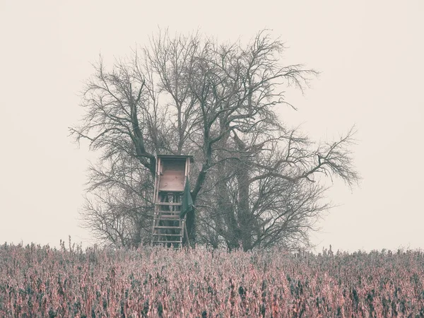 Типичное деревянное и скрытое немецкое охотничье место на поле — стоковое фото