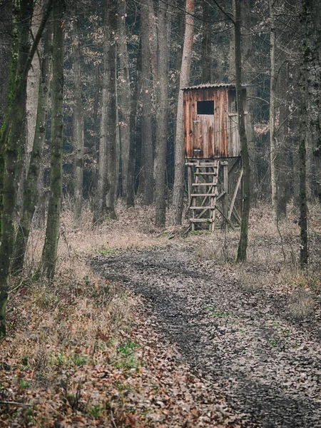 Типичное коричневое деревянное немецкое охотничье сиденье в лесу — стоковое фото