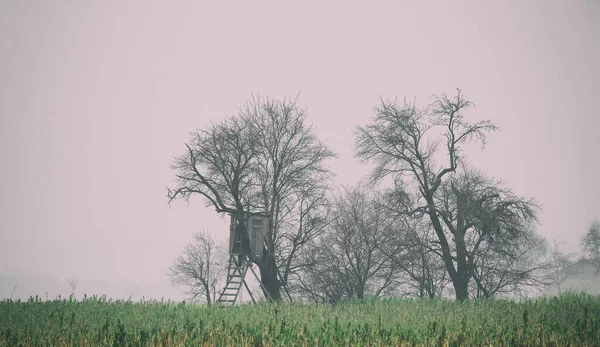 Wooden hunter seat at a tree behind the field — Stockfoto